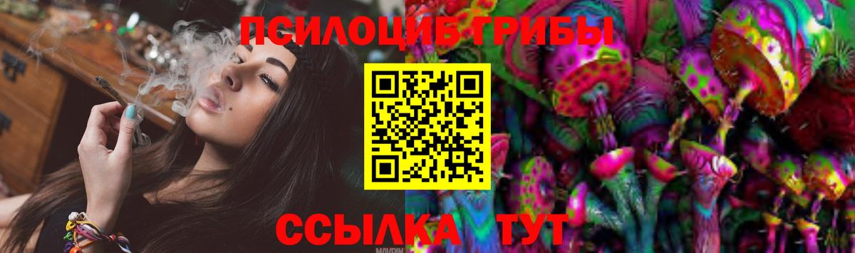 Псилоцибиновые грибы Psilocybine cubensis Чита
